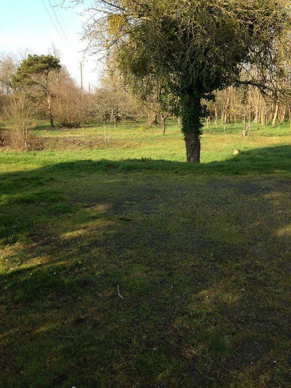 La butte de l'espérance Appartamento Renazé Esterno foto